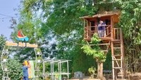 Warung Kuliner Kali Brantas sengaja dikonsep menyatu dengan alam oleh pemiliknya. Selain mengandalkan pemandangan sungai Brantas, pengunjung yang datang akan merasa nyaman karena tempatnya luas dan sejuk dikelilingi pepohonan tinggi menjulang.  Foto: Andhika Dwi