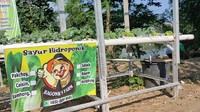 “Saat ini kami sudah ada rencana untuk bekerjasama dengan komunitas hidroponik. Rencananya dalam waktu dekat mau menanam di lintasan pagar. Sekaligus mengenalkan bahwa berkebun hidroponik dengan sistem milenial. Kedepannya akan dibangun gerai UMKM untuk menampung produk dan karya dari warga sekitar kelurahan Banjarmlati, pungkas Imam. Foto: Andhika Dwi