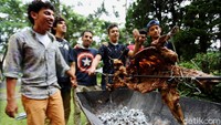 Kawasan Puncak memang memiliki daya tarik tersendiri bagi sejumlah wisatawan Timur Tengah. Ingar-bingar pelancong Timur Tengah mulai sering mewarnai kawasan Cipanas di sepanjang Hanjawar, Loji, hingga Cineungah. Sejak 2014, kawasan yang dikenal sebagai Puncak 2 itu menjadi destinasi wisata baru bagi turis Timur Tengah. Dikhy Sasra/Detikcom.