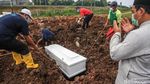 Waspada! Angka Kematian COVID di Tangerang Selatan Meningkat