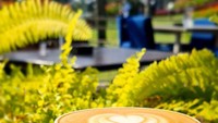 Penggemar kopi ini juga pernah mengunggah foto secangkir kopi yang jadi minuman saat sarapan. Guten Morgen, kata Lulu dalam caption fotonya.  Foto: instagram @lutob