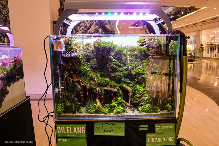 Pameran Aquascape Trans Studio Cibubur