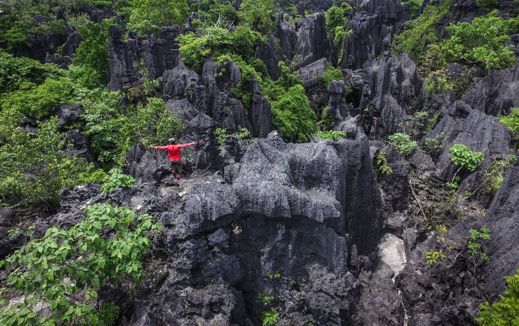 Hutan batu Ramang-Rammang seluas 4.500 hektare.