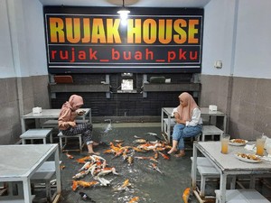 Viral Restoran Kolam Ikan Koi, Sensasi Makan Bersama Ikan Koi