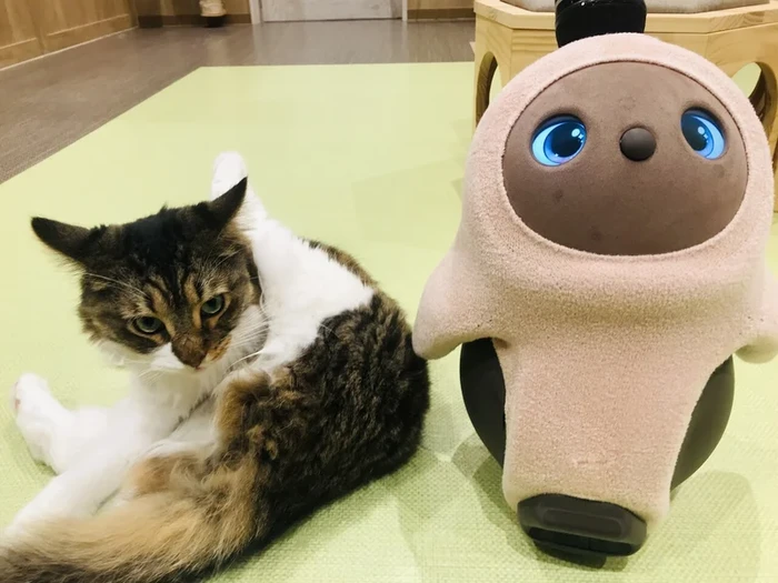 Robot lovot dan kucing