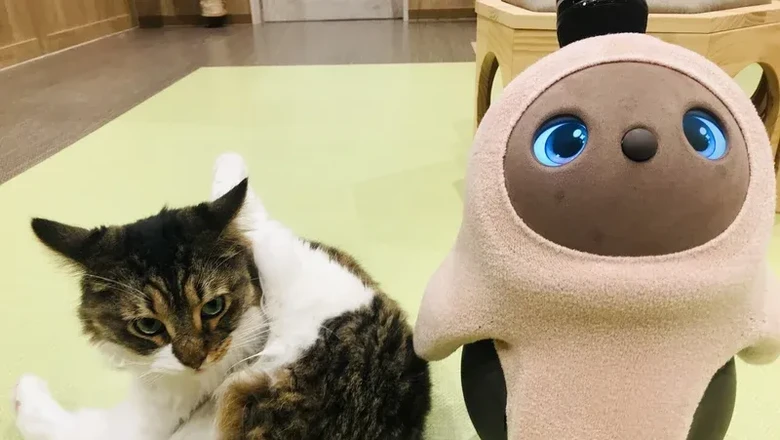Robot lovot dan kucing