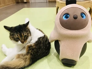 Pet Store Paling Gemas Sedunia, Bisa Peluk Robot Lucu dan Kucing