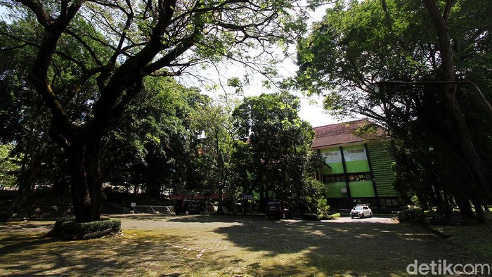 Tiga Dosen Meninggal Gegara COVID-19, Kampus UNS Solo Lockdown Kampus Universitas Sebelas Maret (UNS) ditutup sementara waktu. Penutupan dilakukan usai tiga dosen di kampus tersebut dilaporkan meninggal akibat COVID-19.