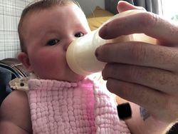 Foto Mengecoh Mata Bikin Salah Sangka