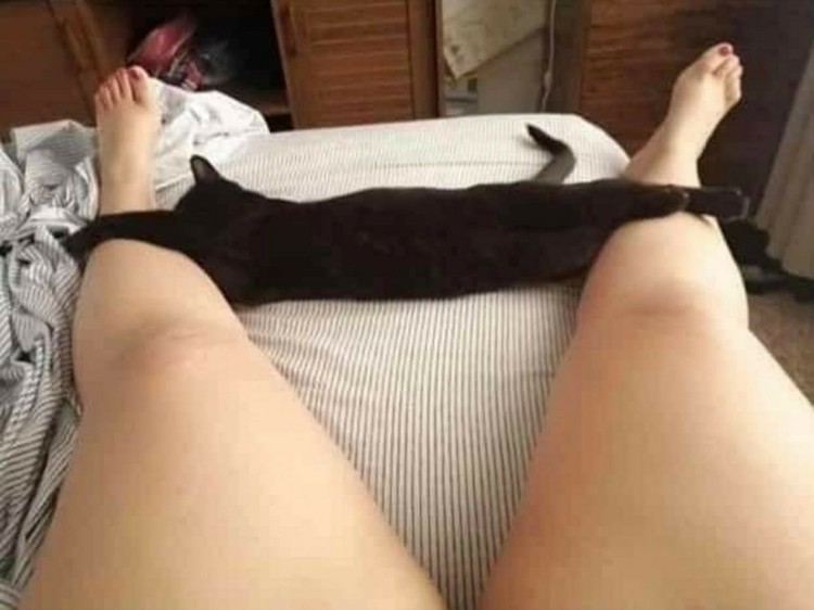 Foto Menggecoh Mata