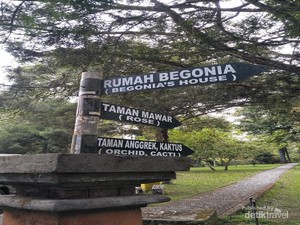 Mau Piknik di Kebun Raya Bali, di Sana Ada Paket Barbekunya!
