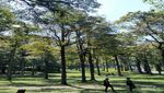 Satu Lagi yang Hijau dari Bali, Hutan Botani