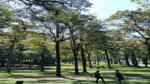 HAMPARAN HUTAN BOTANI DI KAWASAN KEBUN RAYA BALI