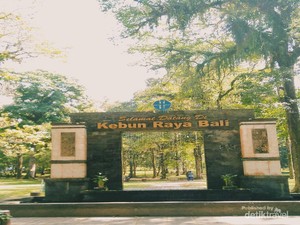 Satu Lagi yang Hijau dari Bali, Hutan Botani