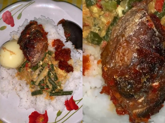 Ikan Belatung Jijik! Netizen Temukan Belatung di Kepala Ikan yang Lagi Dimakan