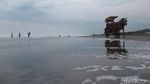 Ketika Pelaku Wisata Pantai Parangtritis Gigit Jari