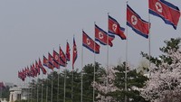 Ekspor Minuman ke Korea Utara Rp 3,6 Miliar, Perusahaan Ini Diancam Denda!