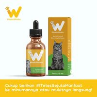 5 Penyebab Kotoran Kucing Bau dan Cara Mengatasinya