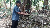 Struktur batu di jalan, pondasi dan pagar rumah hanya ditumpuk begitu saja. Tanpa semen dan perekat lainnya. Dari perkampungan, detikcom menuju hutan yang melingkupi desa. Di hutan ini sebagian besar warga menggantungkan mata pencarian. Warga memanfaatkan lahan hutan rakyat untuk menanam pohon sengon, mahoni dan pohon produktif seperti durian dan pete. Warga juga menanam umbi, pisang, hingga rumput.