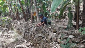 Begini Cara Warga di Pasuruan Lindungi Desa dari Banjir-Longsor
