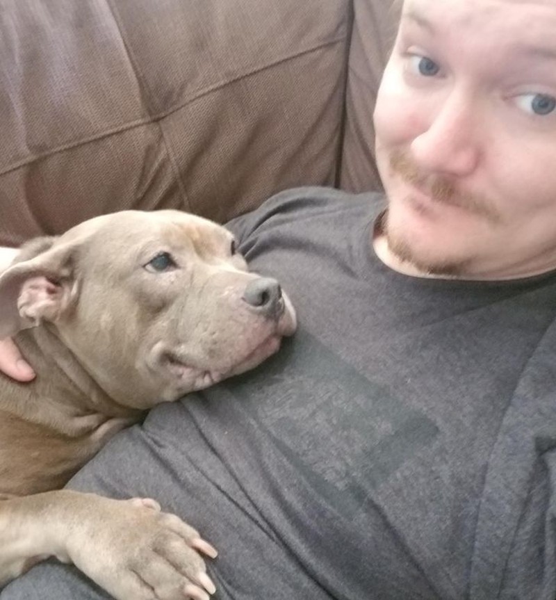 fotoinet tatapan hewan bikin meleleh