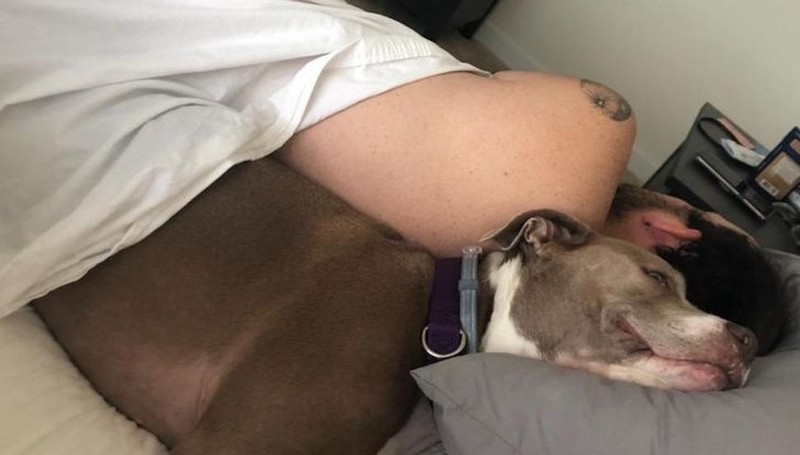 fotoinet tatapan hewan bikin meleleh