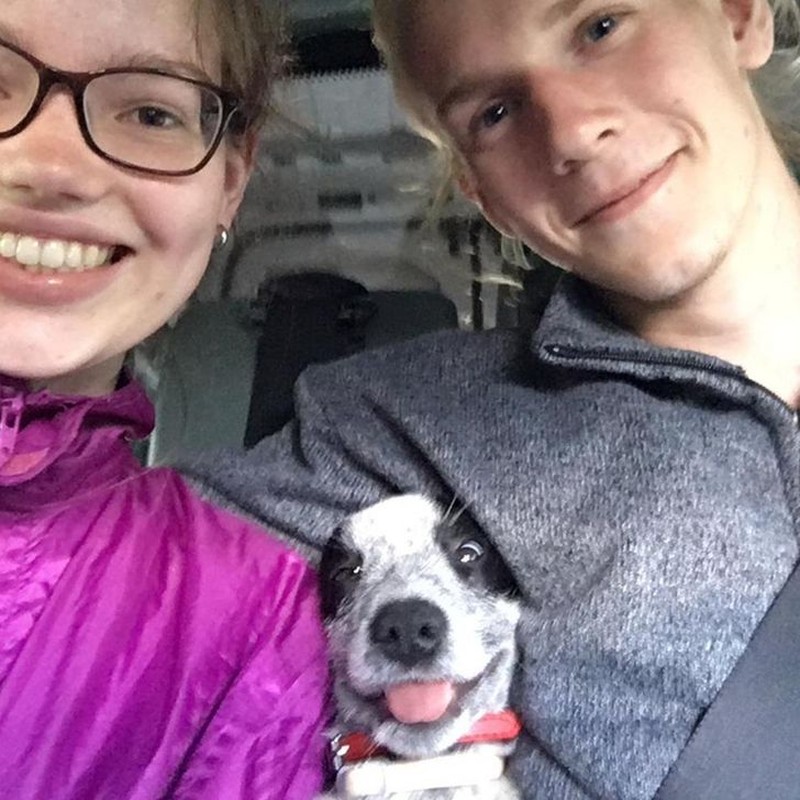 fotoinet tatapan hewan bikin meleleh