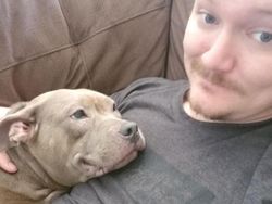 Potret Tatapan Mata Romantis Hewan ke Pemiliknya