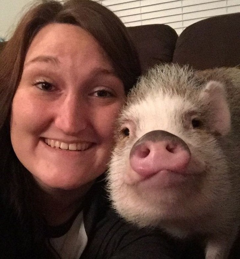 fotoinet tatapan hewan bikin meleleh