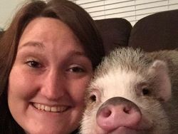 Potret Tatapan Mata Romantis Hewan ke Pemiliknya