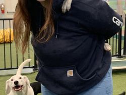 Potret Tatapan Mata Romantis Hewan ke Pemiliknya