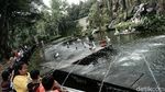 Kasus Corona DKI Ngegas, Ragunan Masih Dikunjungi Wisatawan