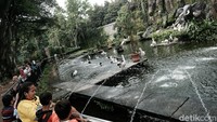Pihak Ragunan membatasi jumlah pengunjung hanya 50 persen dari total kapasitas Ragunan. Jam operasional juga dibatasi pada pukul 07.00-14.00 WIB. 