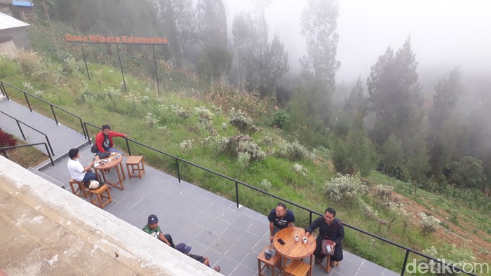 Kebun Edelweis Wonokitri