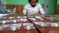 Di kebun ini pengunjung bisa belajar membudidayakan bunga edelweis, mulai mengambil biji dari bunga yang akan dipanen, kemudian ditanam di persemaian.