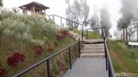 Kebun bunga abadi ini berada di desa pintu masuk Gunung Bromo dari arah Pasuruan. 