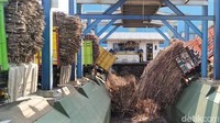 Usai prosesi ritual manten tebu, satu per satu truk pengangkut tebu bergiliran memasukkan tebu ke dalam lorong itu. Badan truk bagian depan akan terangkat ke atas dengan mesin pengungkit, sehingga tebu akan meluncur jatuh ke lorong penggilingan. Tahun ini, untuk pertama kalinya RMI menggelar ritual manten tebu. Tradisi Manten Tebu ini digelar sebagai ungkapan rasa syukur atas akan dilaksanakannya penggilingan gula tahun ini. Selain itu, adanya tradisi  Manten Tebu ini diharapkan bisa memunculkan budaya lokal Jawa Timur.