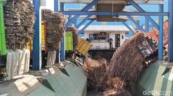 Usai prosesi ritual manten tebu, satu per satu truk pengangkut tebu bergiliran memasukkan tebu ke dalam lorong itu. Badan truk bagian depan akan terangkat ke atas dengan mesin pengungkit, sehingga tebu akan meluncur jatuh ke lorong penggilingan. Tahun ini, untuk pertama kalinya RMI menggelar ritual manten tebu. Tradisi Manten Tebu ini digelar sebagai ungkapan rasa syukur atas akan dilaksanakannya penggilingan gula tahun ini. Selain itu, adanya tradisi Manten Tebu ini diharapkan bisa memunculkan budaya lokal Jawa Timur. Usai prosesi ritual manten tebu, satu per satu truk pengangkut tebu bergiliran memasukkan tebu ke dalam lorong itu. Badan truk bagian depan akan terangkat ke atas dengan mesin pengungkit, sehingga tebu akan meluncur jatuh ke lorong penggilingan. Tahun ini, untuk pertama kalinya RMI menggelar ritual manten tebu. Tradisi Manten Tebu ini digelar sebagai ungkapan rasa syukur atas akan dilaksanakannya penggilingan gula tahun ini. Selain itu, adanya tradisi Manten Tebu ini diharapkan bisa memunculkan budaya lokal Jawa Timur.