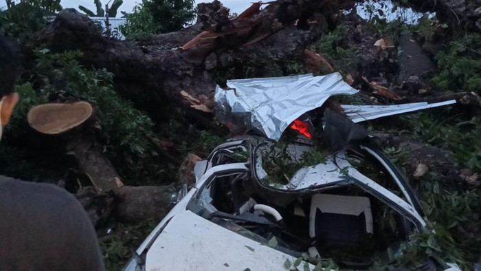 Pohon tumbang di pemakaman timpa mobil peziarah