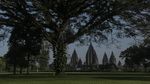 Yogyakarta Waspada Corona, Candi Prambanan Ditutup Sementara