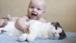 Fakta Menarik tentang Kucing, Majikannya Manusia