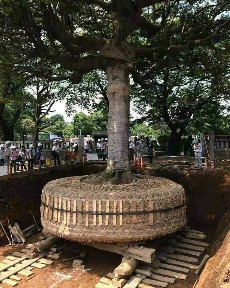 fotoinet potret jepang beda dengan negara lain