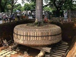 Potret Viral Bukti Jepang Beda dengan Negara Lain