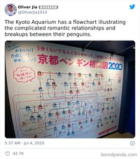 fotoinet potret jepang beda dengan negara lain