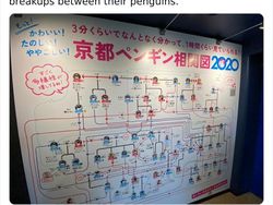 Potret Viral Bukti Jepang Beda dengan Negara Lain