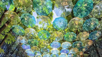 Keren! Sepanjang jalan yang ditutupi dengan payung semi transparan di Taman Moominvalley, Prefektur Saitama, Jepang. Foto: Boredpanda