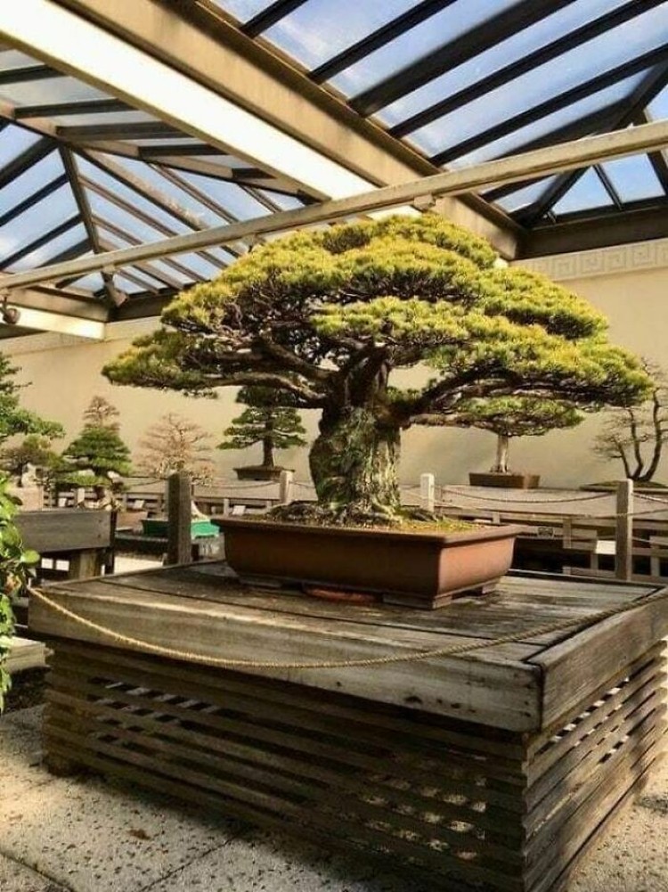 fotoinet potret jepang beda dengan negara lain