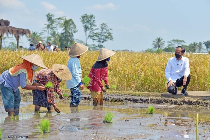 Hari Ulang Tahun Jokowi, Intip Momen Blusukannya Belanja Buah di Pasar Hari Ulang Tahun Jokowi, Intip Momen Blusukannya Belanja Buah di Pasar