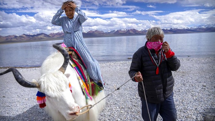 Wisata Tibet Diserbu Turis China A Chinese tourist gets ready to pose for a photo atop a white yak being led by a Tibetan man in Namtso in western China's Tibet Autonomous Region, Wednesday, June 2, 2021. Tourism is booming in Tibet as more Chinese travel in-country because of the coronavirus pandemic, posing risks to the region's fragile environment and historic sites. (AP Photo/Mark Schiefelbein)
