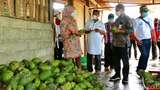 Frozen Fruit Banyuwangi Tembus Pasar Jakarta hingga Mataram
